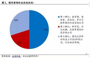 融合多元力量 战略视角下的经济、技术与人力资源咨询整合之道