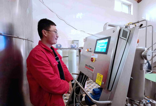 探秘中国葡萄酒第一镇 技术咨询如何助力产区腾飞